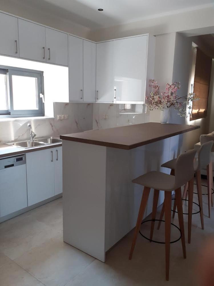 Ionian Stone Luxury Villa نِكيانا المظهر الخارجي الصورة