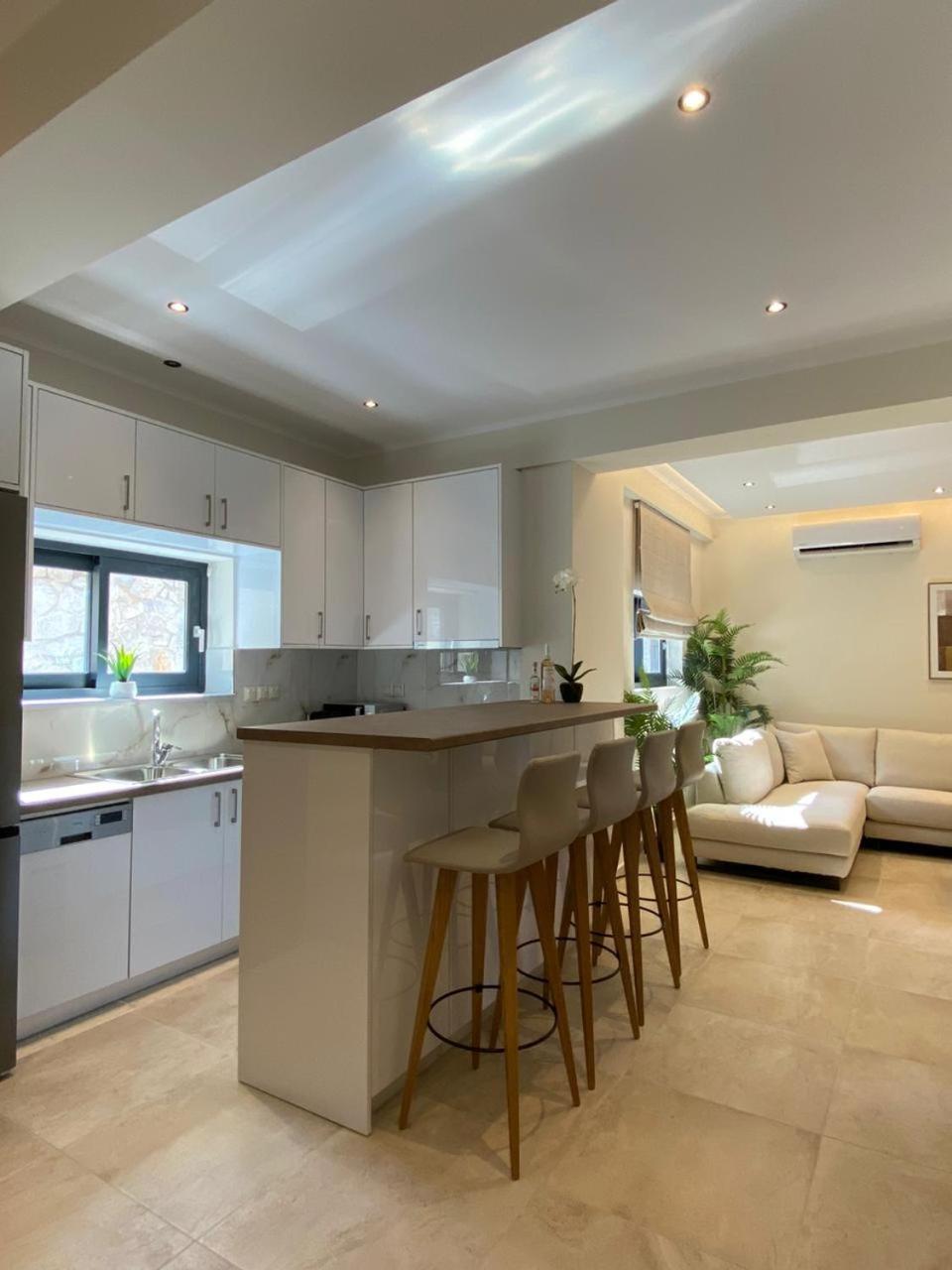 Ionian Stone Luxury Villa نِكيانا المظهر الخارجي الصورة